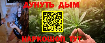 Альфа ПВП Дубна