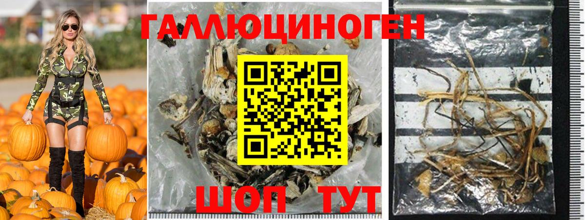 Мирный  Галлюциногенные грибы Psilocybe  Псилоцибиновые грибы Cubensis  Вход с VPN 